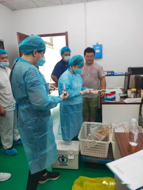 廊坊市疾控中心加强防控工作，确保冷链食品安全与护理机构服务平稳运行